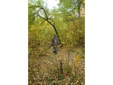 ���� �� ������� �����...