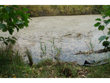 ��� ���� �������� �� ����� �� ��������...