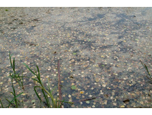 � ����� ���������� ��?..