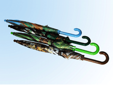 ���� ������� ��0��� �����������