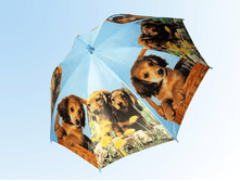 ������� �� ������� ����