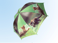 ������� � ������