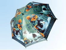 ������ � ������� � � ������ 