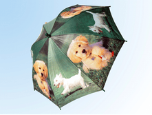 ������� �� ������ �� ������� ���� 