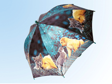 ����� � �������