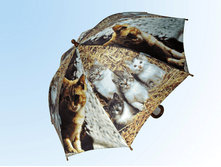 ������ � ����