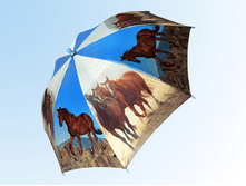 ������  �� ������� ����