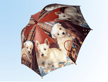 ������� �� ���������� ����