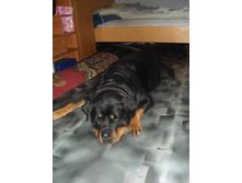 ������ 3.JPG