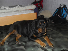 ������ 2.JPG