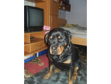 ������ 1.JPG