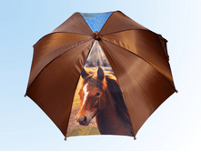 ������ �� ���������� ����