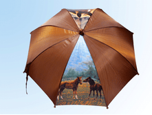 ������ �� ���������� ���� ��� � ������ �������