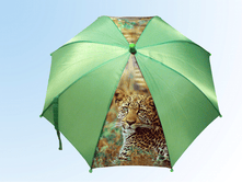 ������� �� ��� ����