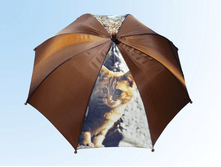 ������� �� ���������� ���� 