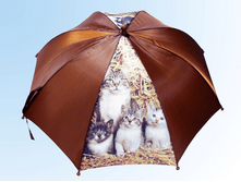 ������� �� ���������� ����  ��� � ������ �������