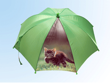 ������� �� ��� ����