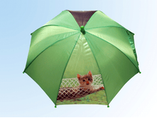 ������� �� ��� ���� ��� � ������ �������