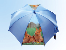 ������� �� ����� ���� ��� � ������ �������