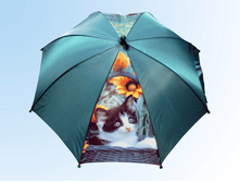 ������ �� ��������� ���� ��� � ������ �������