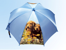 ������� �� ����� ����  