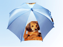 ������� �� ����� ���� ��� � ������ �������