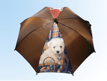 ������� �� ���������� ���� 