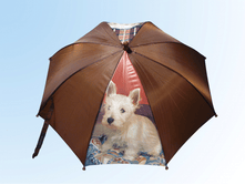 ������� �� ���������� ���� ��� � ������ �������