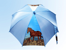 ������ �� ����� ����  