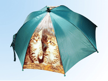 ������ ��� � ������ �������