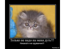 � �� ���������.jpg