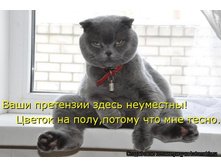 ���� ���������.jpg