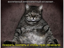 ����������� ��� ������.jpg