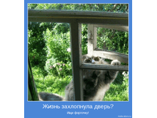 ����� ���������� �����.jpg