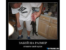 ����� �� ������.jpg