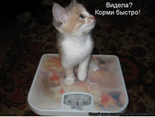 ����� ������.jpg