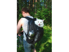 ����� � �������.jpg