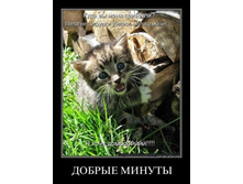 ���� �� ���� ��������.jpg