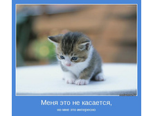 ���� ��� �� ��������.jpg