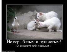 �� ���� ����� � ��������.jpg