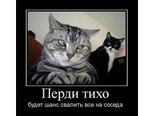 ����� ����.jpg