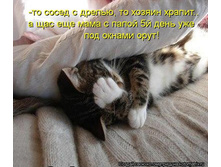 ����� � ������.jpg