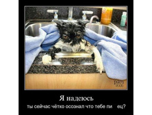 �� ������� ��� ���� @.jpg