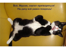 ������ ������������.jpg