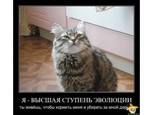 � ������ ������� ��������.jpg