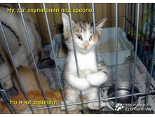 � �� �������.jpg