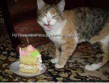 ������ �������.jpg