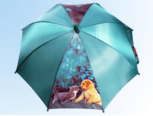 ������� � ����� �� ��������� ����  