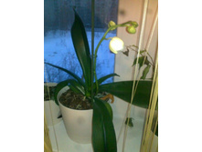 � ��� ��� �� ����������� ���� )))