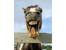 ��, �� � ����� ������ �� ����� ������! :-)